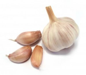 cesnak